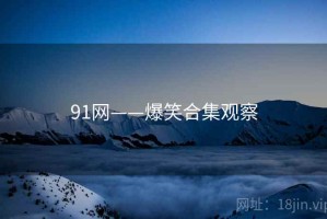 91网——爆笑合集观察