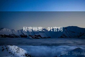 秘密档案：91官网
