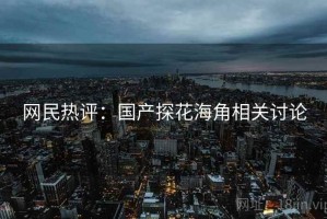 网民热评:国产探花海角相关讨论 网民热评:国产探花海角相关讨论