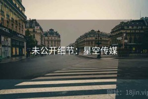未公开细节：星空传媒