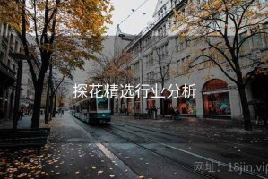 探花精选行业分析
