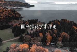国产探花学术评论