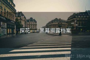 探花——黑幕揭露档案