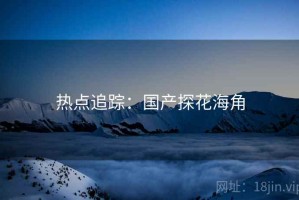 热点追踪:国产探花海角 热点追踪:国产探花海角