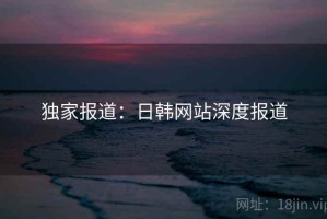 独家报道：日韩网站深度报道