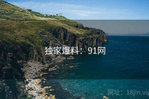 独家爆料:91网 独家爆料:91网