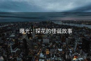 曝光：探花的怪诞故事