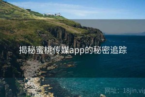 揭秘蜜桃传媒app的秘密追踪