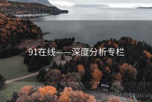 91在线——深度分析专栏
