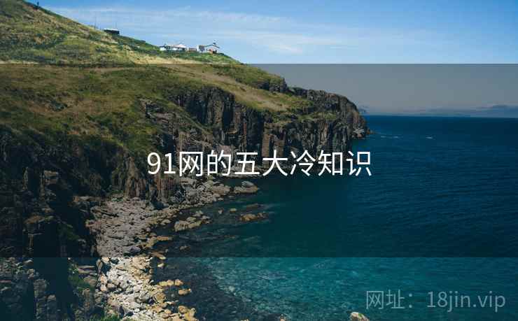 91网的五大冷知识