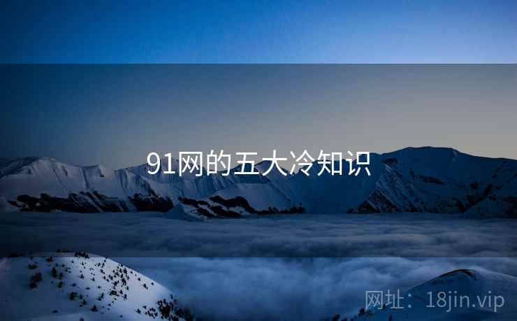 91网的五大冷知识