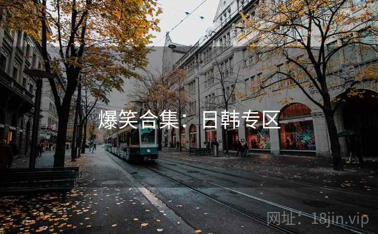 爆笑合集：日韩专区