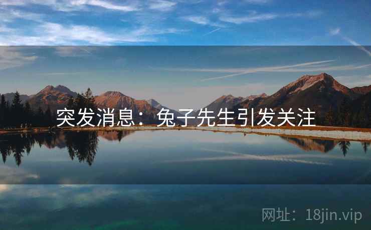 突发消息：兔子先生引发关注