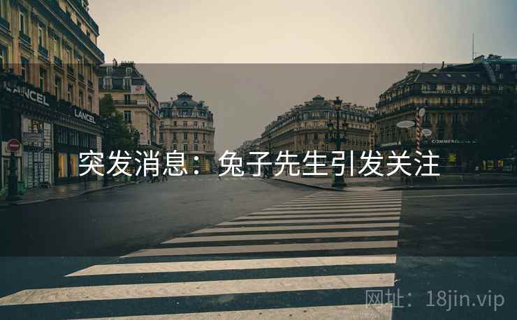 突发消息：兔子先生引发关注