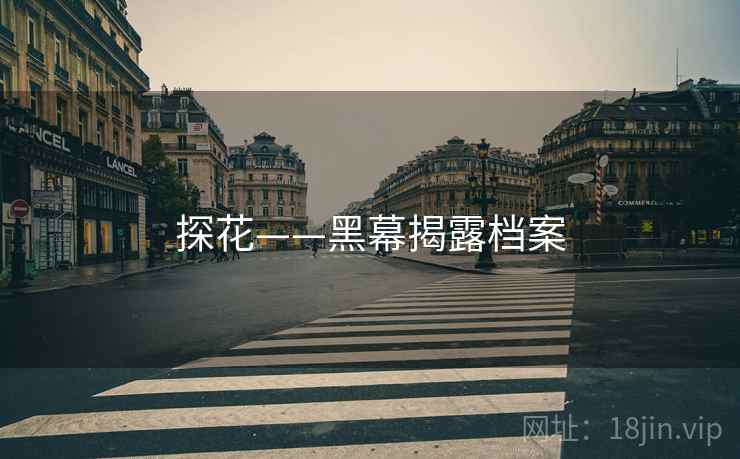探花——黑幕揭露档案