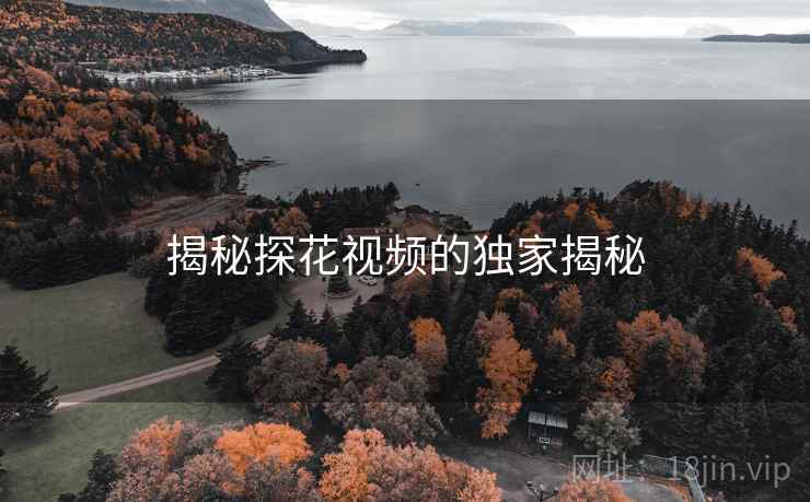 揭秘探花视频的独家揭秘