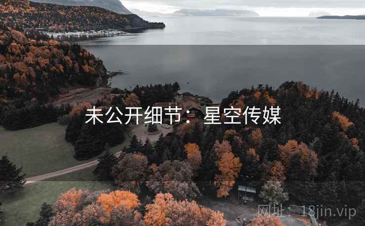 未公开细节：星空传媒