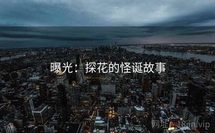 曝光：探花的怪诞故事