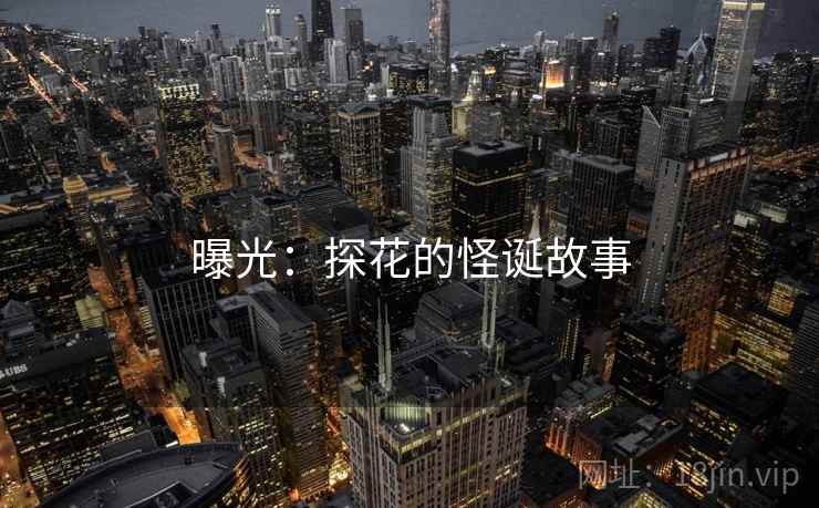 曝光：探花的怪诞故事