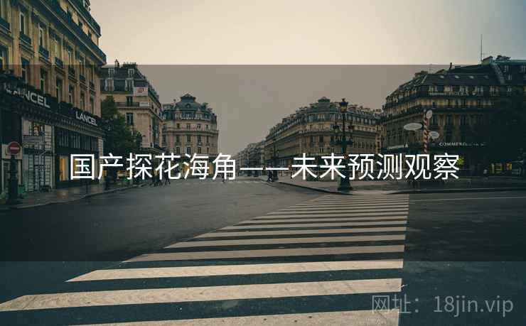 国产探花海角——未来预测观察