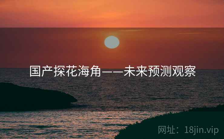 国产探花海角——未来预测观察