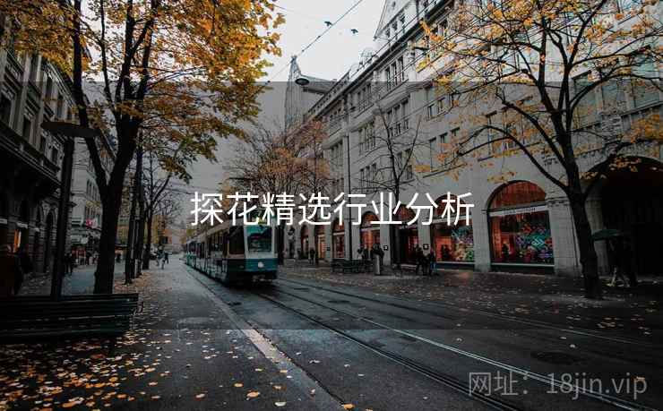 探花精选行业分析