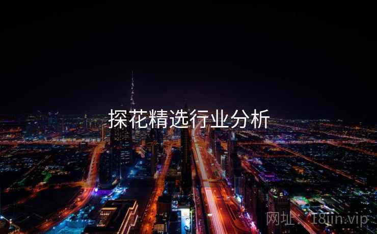 探花精选行业分析