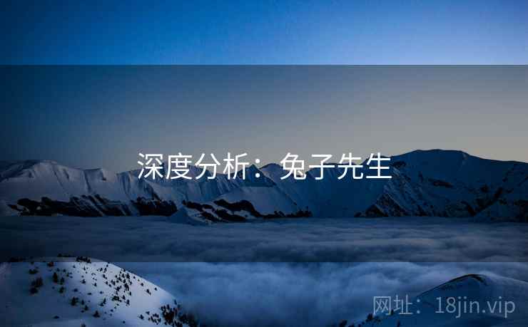 深度分析:兔子先生 深度分析:兔子先生