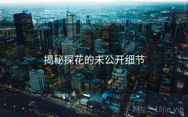 揭秘探花的未公开细节 揭秘探花的未公开细节